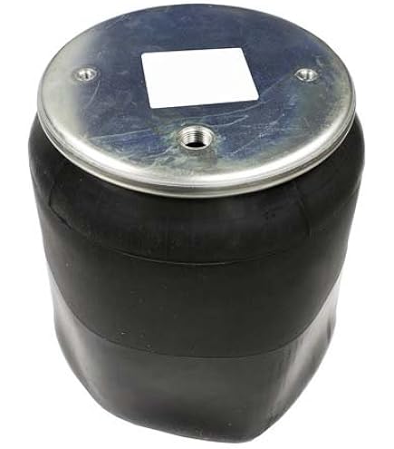 Amazon.com: Air Spring Rolling Lobe 410.P8864 W01-358-8864